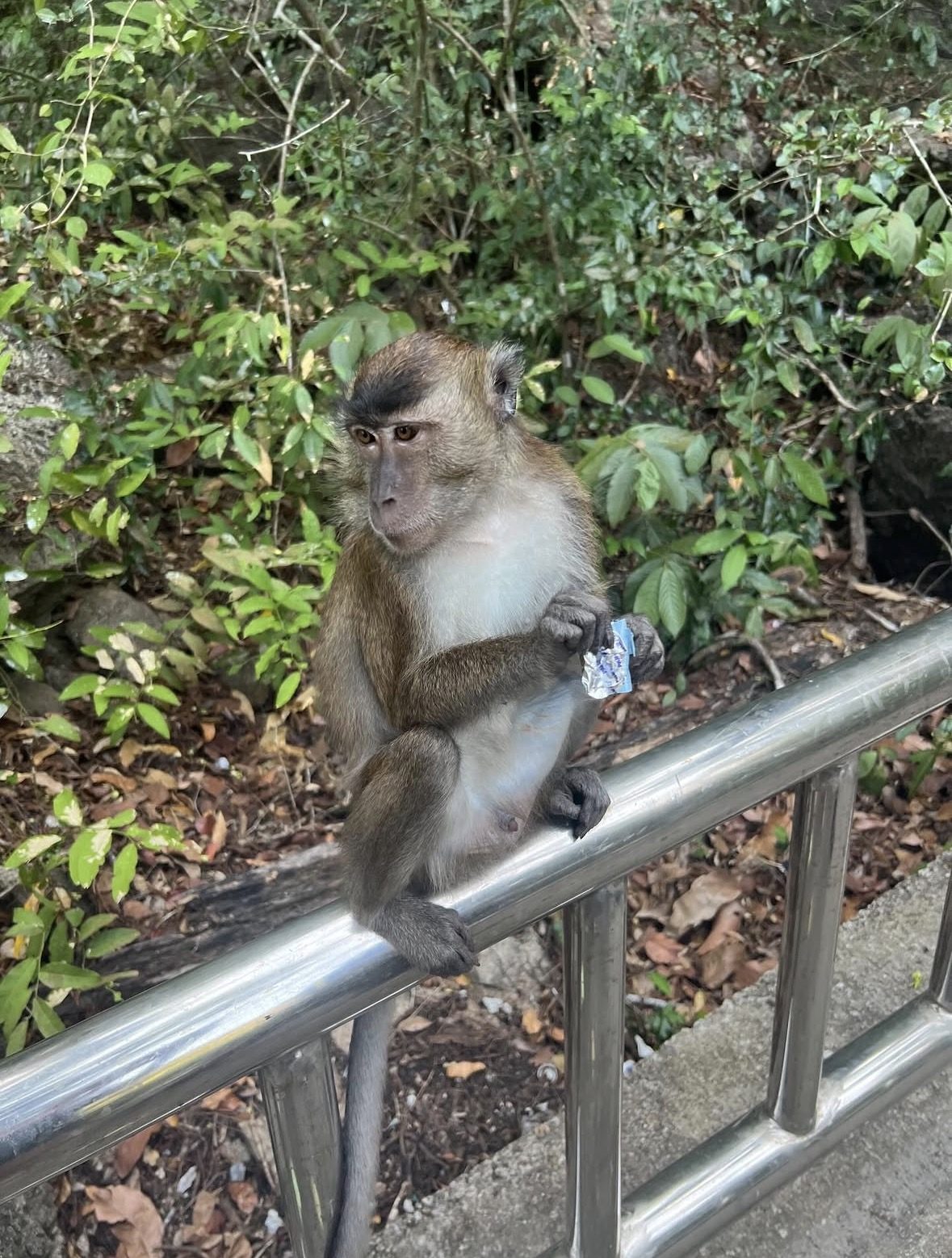 Morgenabfahrt zur Mangrove Tour Langkawi am Tanjung Rhu Jetty