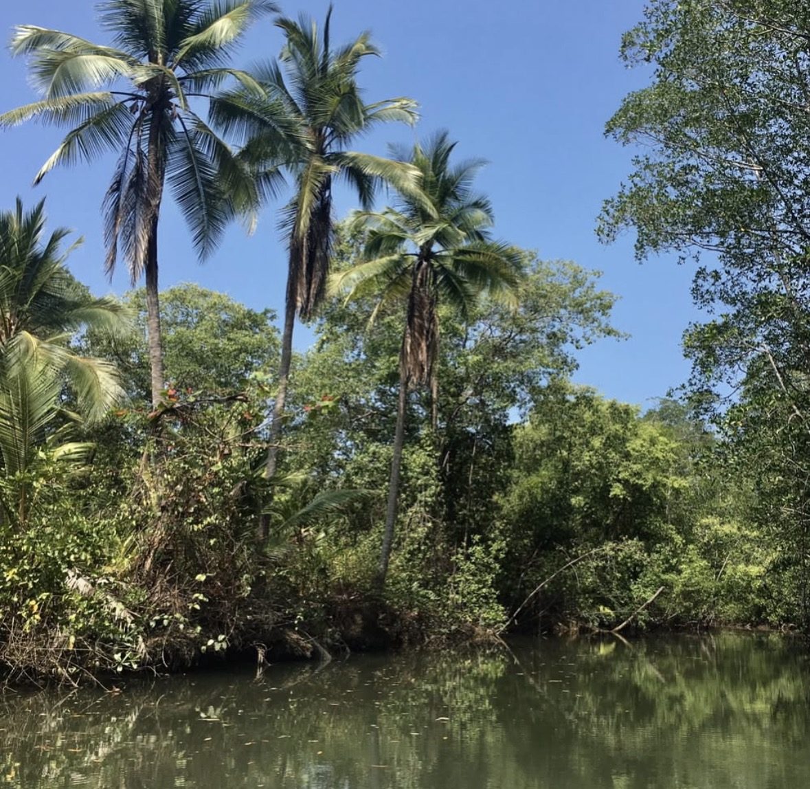 Touristen in angemessener Kleidung für die Mangrove Tour Langkawi beim Einsteigen in ein Boot am Tanjung Rhu